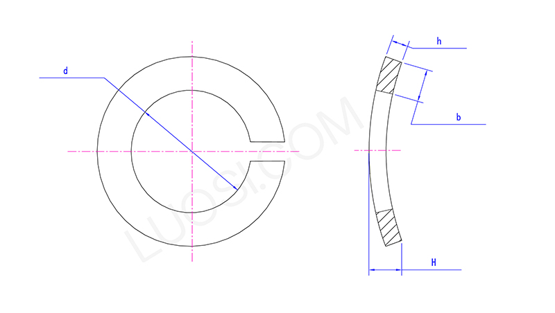 Essential Spring Washers