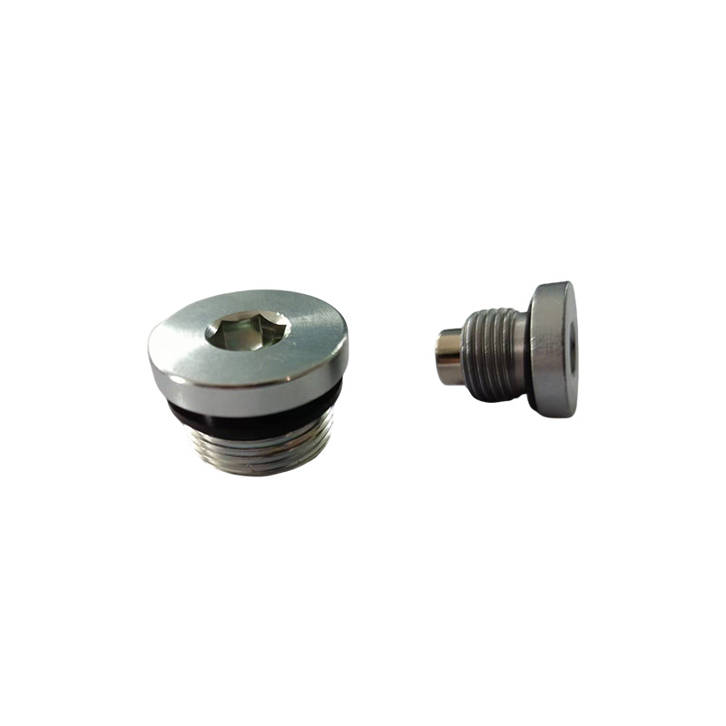 Hollow Hex Pipe Plug with Sealing Ring