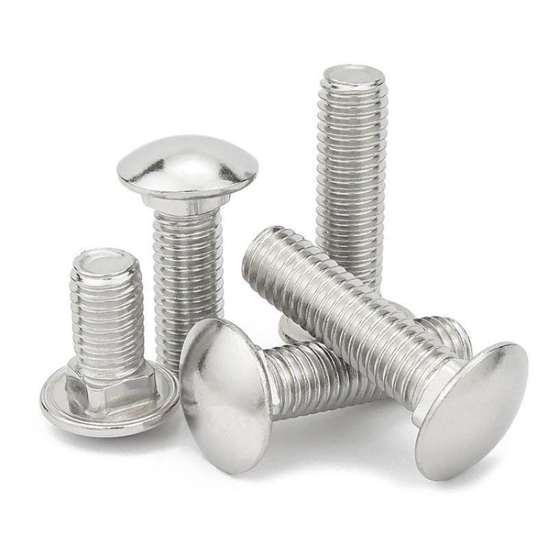 Sienen pään neliökaulapultit